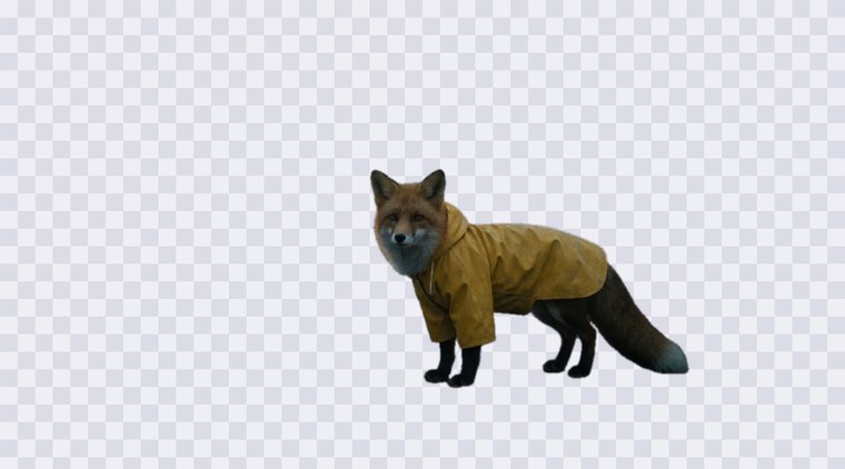 Fox cutout with transparent alpha shown over a checkerboard.